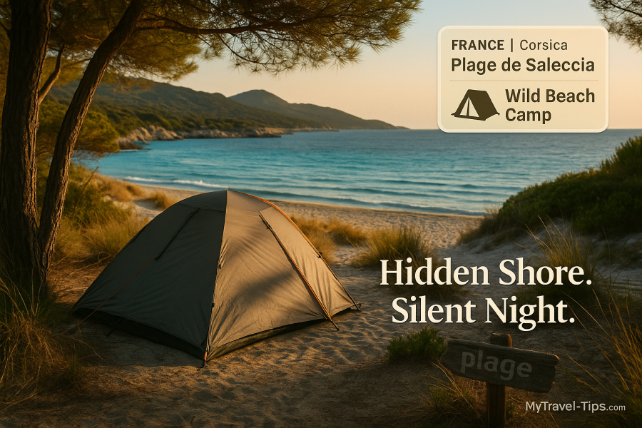 Plage de Saleccia, Corsica A quiet tent setup behind dunes at Plage de Saleccia — one of Corsica’s most scenic and secluded spots for free beach camping